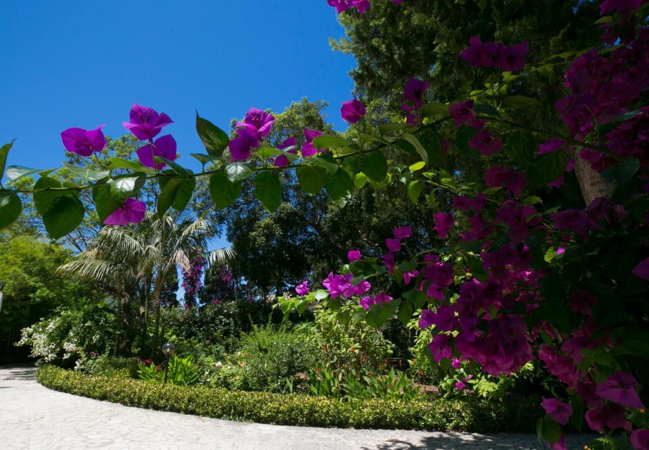 Villa Pampalone - B&B In Dimora Storica Trapani Exterior photo