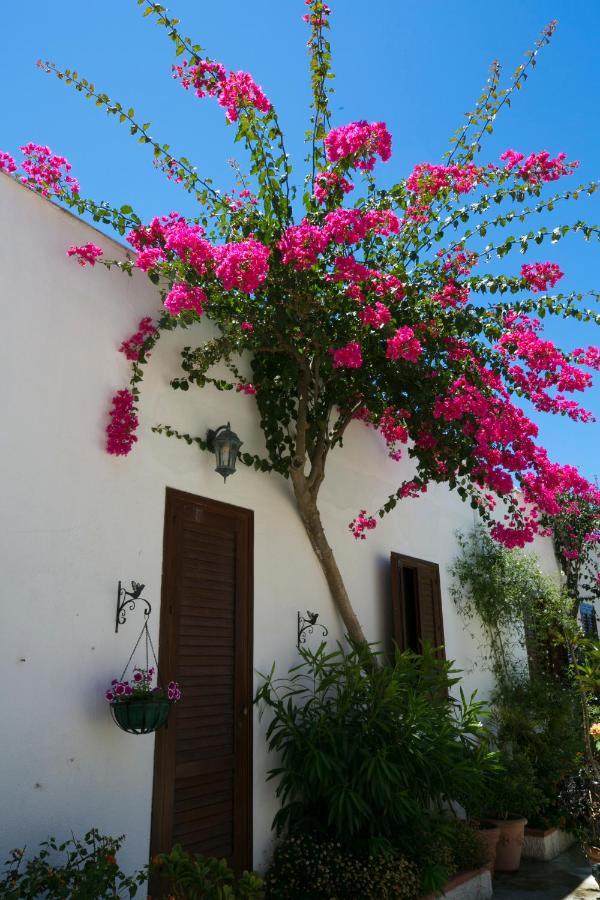 Villa Pampalone - B&B In Dimora Storica Trapani Exterior photo